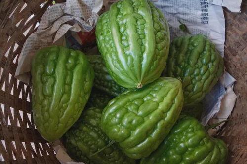 江门吃瓜,吃瓜群众的味蕾盛宴