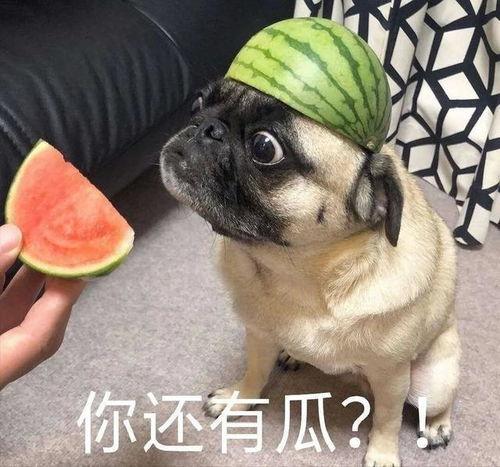 吃瓜事件资源,揭秘娱乐圈幕后真相与争议风波