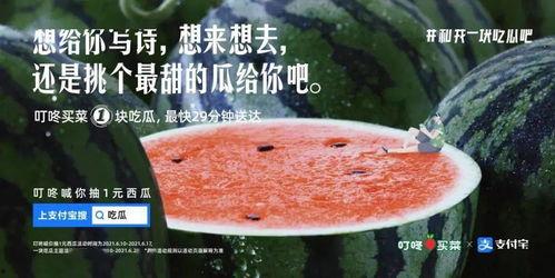 吃瓜捞文案,揭秘吃瓜捞背后的趣味与智慧