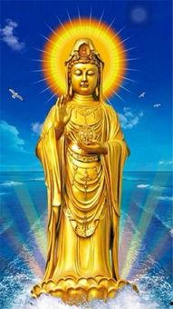 吃瓜观音赞,揭秘瓜界传奇与佛界智慧