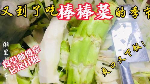 南充老师吃瓜,一场校园风波背后的真相与反思