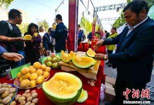 盛世芳华吃瓜最新,揭秘吃瓜群众的狂欢盛宴