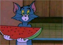 吃瓜斗图图片,揭秘网络社交新潮流