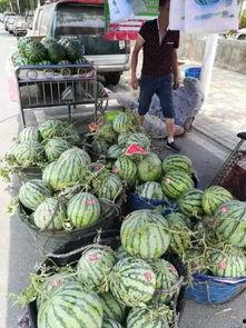 丰县沛县吃瓜事件,揭秘背后真相与争议