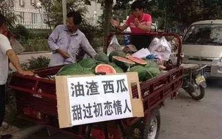 项城吃瓜事件完整经过,一场网络舆论的风暴与反思