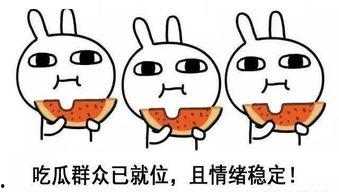 吃瓜人格言,揭秘网络时代的“瓜语”魅力