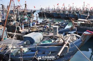 中国渔船扎堆吃瓜,中国海域上演“吃瓜”盛况