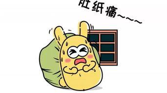 吃瓜接盘侠,揭秘网络热词背后的故事